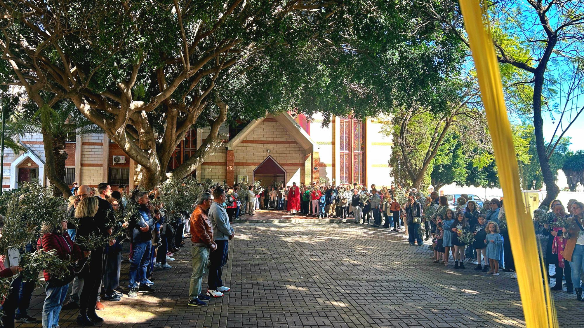 Domingo de Ramos: estar y&nbsp;contemplar